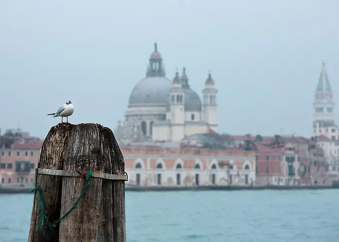 Ca' San Polo - Ferretti Collection