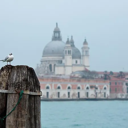 Ca' San Polo - Ferretti Collection